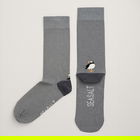 Seasalt Mens Everyday Socks Up Harbour Smoke Grey Size 8-12