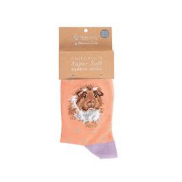 Wrendale Designs 'Grinny Pig' Guinea Pig Children's Socks