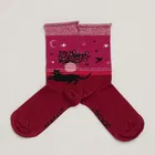 Seasalt Snowy Scenes Socks Hearth Dulse Size 4-7