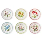 Portmeirion Botanic Garden Meadow Set of 6 Dinner Plates