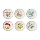Portmeirion Botanic Garden Meadow Set of 6 Small Dinner Plates