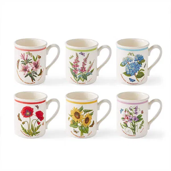 Portmeirion Botanic Garden Meadow Set of 6 Breakfast Mugs