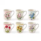 Portmeirion Botanic Garden Meadow Set of 6 Breakfast Mugs