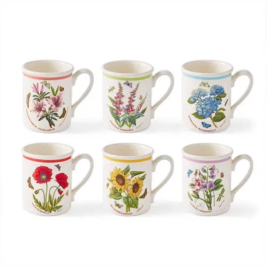 Portmeirion Botanic Garden Meadow Set of 6 Breakfast Mugs