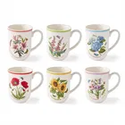 Portmeirion Botanic Garden Meadow Set of 6 Tulip Mugs