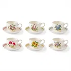 Portmeirion Botanic Garden Meadow Set of 6 Breakfast Teacups & Saucers