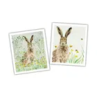 National Trust Hare Plant Based Set of 2 Cleaning Cloths