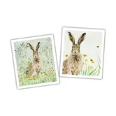 National Trust Hare Plant Based Set of 2 Cleaning Cloths
