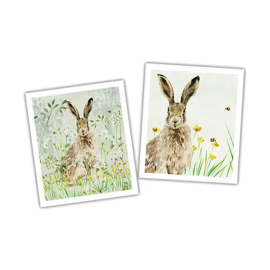 National Trust Hare Plant Based Set of 2 Cleaning Cloths