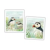 National Trust Puffin Plant Based Set of 2 Cleaning Cloths