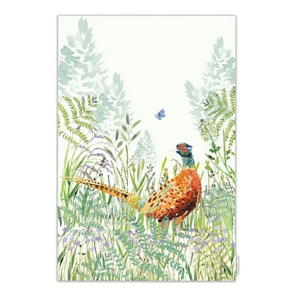 National Trust Pheasant Organic Cotton Single Tea Towel
