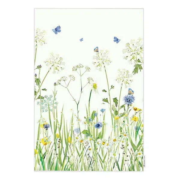 National Trust Butterfly Organic Cotton Single Tea Towel