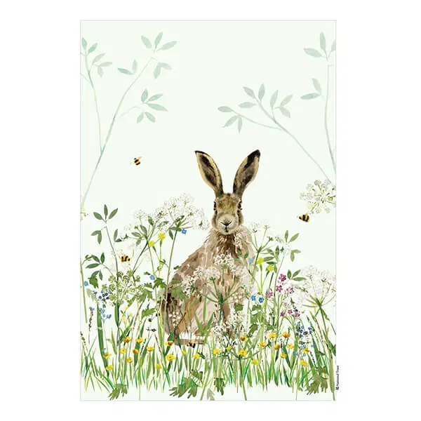 National Trust Hare Organic Cotton Single Tea Towel