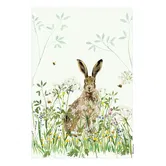 National Trust Hare Organic Cotton Single Tea Towel