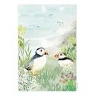 National Trust Puffin Organic Cotton Single Tea Towel