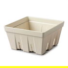 Zeal Melamine Fruit & Salad Box Cream