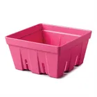Zeal Melamine Fruit & Salad Box Neon Pink