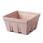 Zeal Melamine Fruit & Salad Box Rose Pink
